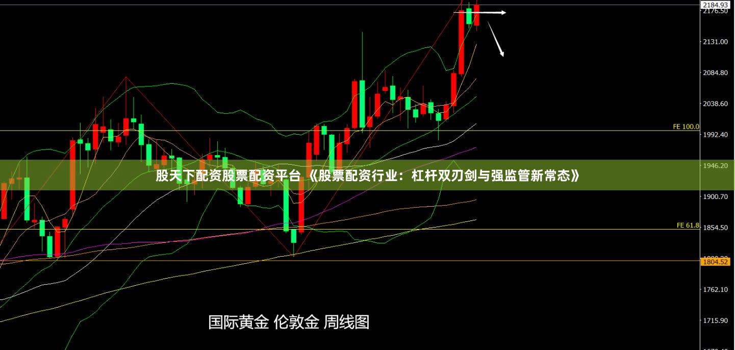 股天下配资股票配资平台 《股票配资行业：杠杆双刃剑与强监管新常态》