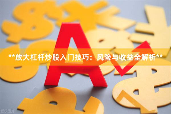 **放大杠杆炒股入门技巧：风险与收益全解析**